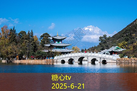 一斤白酒泡多少枸杞最合适的比例和方法