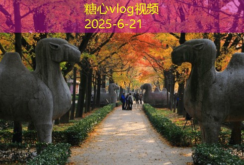 东北白酒能存放多久时间你需要了解的要点