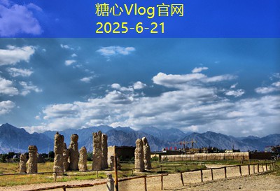 中国白酒酿造的艺术与科学深度解析