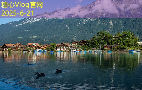 为什么自己酿白酒可能会带来严重后果
