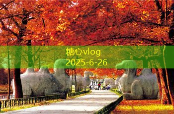 多少度的白酒泡枸杞效果最佳