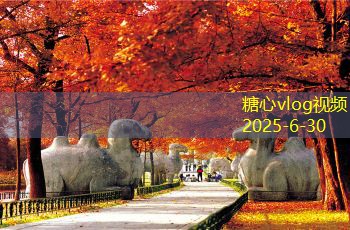 怎么酿造美味白酒的秘诀与详细步骤