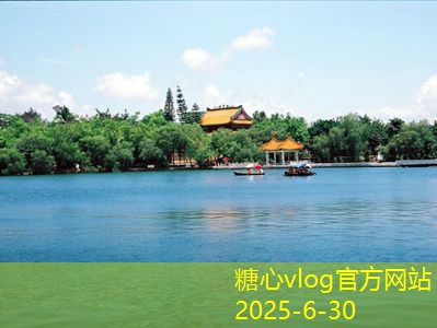 怎样挑选瓶装白酒才能更好地满足口味需求