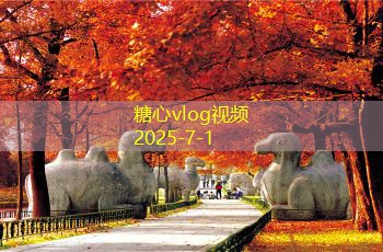 新酿的白酒为何会带有甜味解析与探讨
