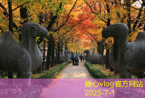朋友聚餐必备的38度白酒推荐与搭配指南