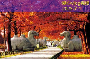 杯装白酒的保质期解析及其存储注意事项