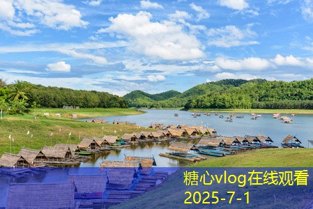 枸杞泡白酒的健康益处与饮用方法解析