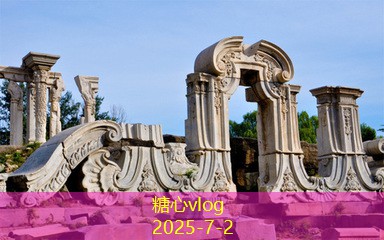 桑葚和枸杞泡白酒的神奇养生功效探秘