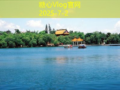 梵高白葡萄酒和红酒到底哪个更胜一筹