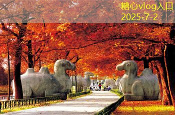 楚园春白酒的多样类型与饮用文化深入探讨