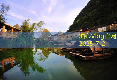 每天睡前喝红酒的好处与健康影响解析