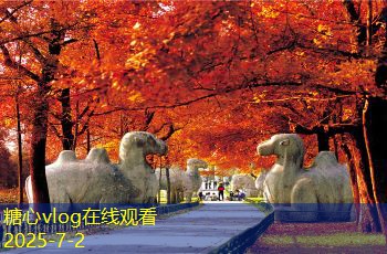 河北酱香白酒企业的全景探秘与发展现状分析