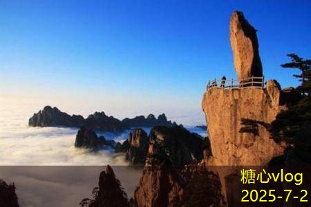 河南酱香白酒的魅力与种类详解