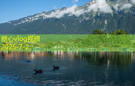 法国波尔多干红葡萄酒的独特魅力与品鉴指南