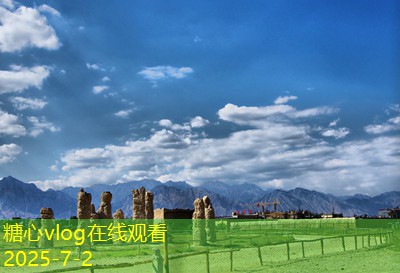 法国波尔多干红葡萄酒价格分析及选购指南