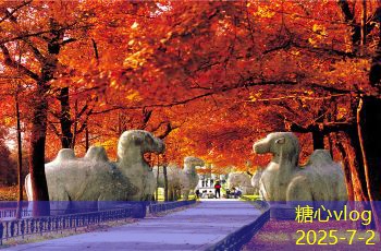 法国红酒品牌推荐与选购指南为您解锁美味世界