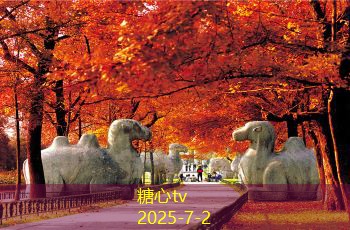 法国红酒脱糖技术的原理与应用解析