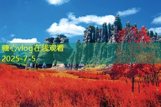 泡枸杞用什么白酒更能发挥其保健效果