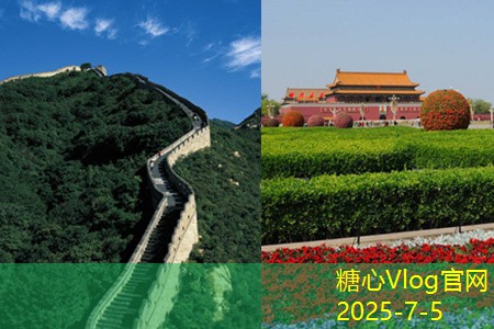 泡菜高度白酒的独特魅力与市场前景分析