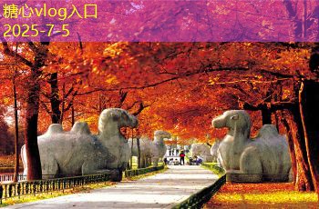 波尔多干红葡萄酒的魅力与饮用技巧深度解析