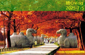 波尔多葡萄酒的魅力与品鉴技巧全解析