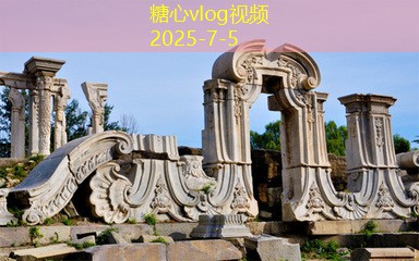 波尔多骑士葡萄酒探索其独特魅力与风味