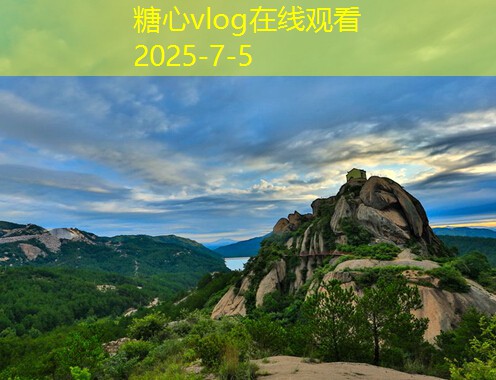 洋酒与红酒的选择技巧与品味指南
