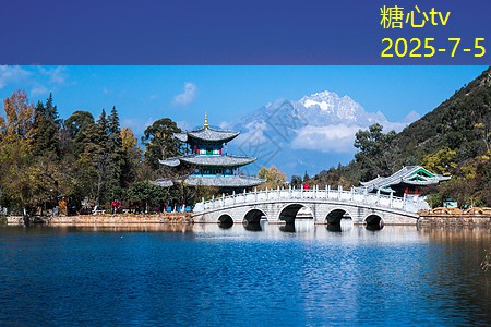 浓香型白酒代理的市场前景与发展策略探讨