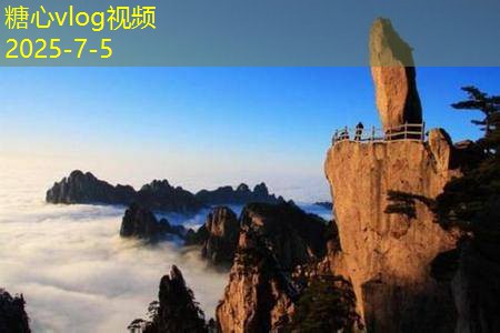 浓香型白酒的魅力与代表品牌全解析