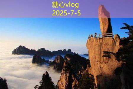 浓香型白酒品牌的魅力与市场发展分析