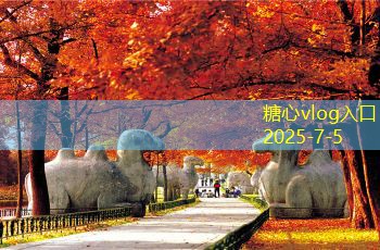 浓香型白酒的市场价格如何影响消费者选择