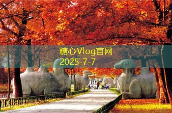 白酒的保质期是多久你真的知道吗