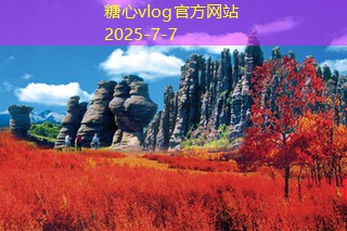 全面解析各类白酒：从传统名酒到现代新秀