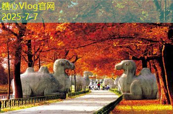 如何鉴别酱香型白酒的独特风味与品质特征